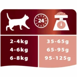 PURINA PRO PLAN Cat Adult Optirenal Saumon & Riz -Alimentation boutique cat adult salmon rice 2