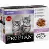 PURINA PRO PLAN Cat Kitten NUTRISAVOUR Dinde Terrine