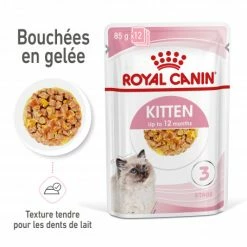 Cat Kitten Royal Canin Emincé En Gelée Sachet Repas -Alimentation boutique cat kitten royal canin emince en gelee sachet repas 2