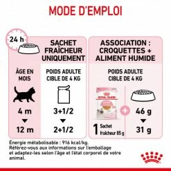Cat Kitten Royal Canin Emincé En Gelée Sachet Repas -Alimentation boutique cat kitten royal canin emince en gelee sachet repas 3