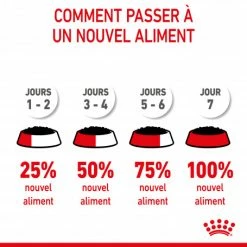 Cat Kitten Royal Canin Emincé En Gelée Sachet Repas -Alimentation boutique cat kitten royal canin emince en gelee sachet repas 4
