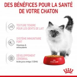 Cat Kitten Royal Canin Emincé En Gelée Sachet Repas -Alimentation boutique cat kitten royal canin emince en gelee sachet repas 6
