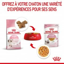 Cat Kitten Royal Canin Emincé En Gelée Sachet Repas -Alimentation boutique cat kitten royal canin emince en gelee sachet repas 7