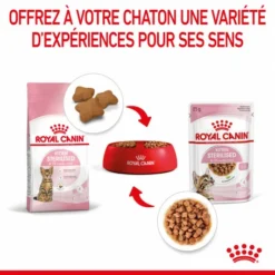 Cat Kitten Stérilisé Royal Canin Emincé En Sauce Sachet Repas -Alimentation boutique cat kitten royal canin emince en sauce sachet repas 13