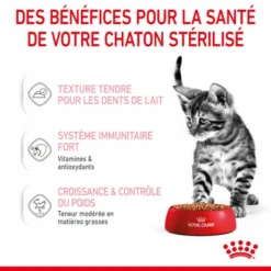 Cat Kitten Stérilisé Royal Canin Emincé En Sauce Sachet Repas -Alimentation boutique cat kitten royal canin emince en sauce sachet repas 14