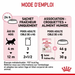 Cat Kitten Royal Canin Mousse Sachet Repas -Alimentation boutique cat kitten royal canin mousse sachet repas 4