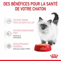 Cat Kitten Royal Canin Mousse Sachet Repas -Alimentation boutique cat kitten royal canin mousse sachet repas 6