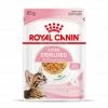 Cat Kitten Sterilised Royal Canin Emincé En Gelée Sachet Repas 2 Cat Kitten Sterilised Royal Canin Emincé En Gelée Sachet Repas -Alimentation boutique cat kitten sterilised royal canin eminen gelee sachet repas