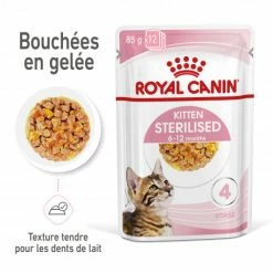 Cat Kitten Sterilised Royal Canin Emincé En Gelée Sachet Repas -Alimentation boutique cat kitten sterilised royal canin eminen gelee sachet repas 2