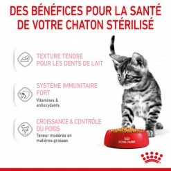 Cat Kitten Sterilised Royal Canin Emincé En Gelée Sachet Repas -Alimentation boutique cat kitten sterilised royal canin eminen gelee sachet repas 6