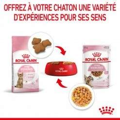 Cat Kitten Sterilised Royal Canin Emincé En Gelée Sachet Repas -Alimentation boutique cat kitten sterilised royal canin eminen gelee sachet repas 7
