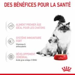 ROYAL CANIN Cat Mother & Babycat Boîte -Alimentation boutique cat mother babycat boite 3