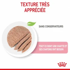 ROYAL CANIN Cat Mother & Babycat Boîte -Alimentation boutique cat mother babycat boite 5