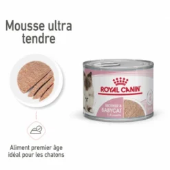 ROYAL CANIN Cat Mother & Babycat Boîte -Alimentation boutique cat mother babycat boite 6