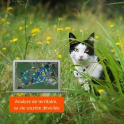 Materiel Collier GPS Weenect Cats 2 Pour Chat -Alimentation boutique collier gps weenect cats 2 pour chat 4