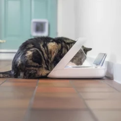 Materiel Distributeur Automatique De Nourriture SureFeed Connect -Alimentation boutique distributeur automatique de nourriture surefeed connect 5