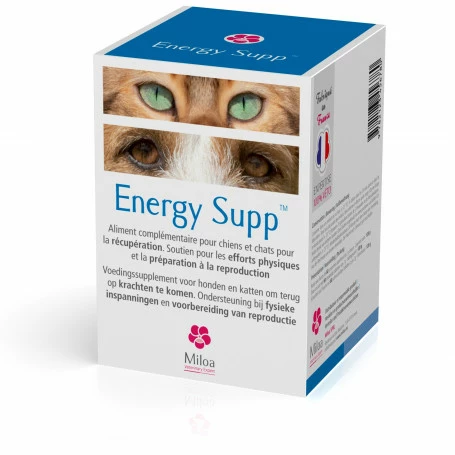 MILOA Energy Supp 3 MILOA Energy Supp