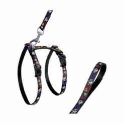 Materiel Ensemble Harnais / Laisse Chat Art Sportiv