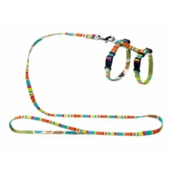 Materiel Ensemble Harnais / Laisse Chat Hunter