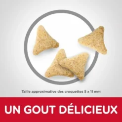 HILL'S Pet Nutrition Feline Adult Hairball Indoor Poulet -Alimentation boutique feline adult hairball indoor poulet 2