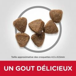 HILL'S Pet Nutrition Feline Adult Poulet Optimal Care -Alimentation boutique feline adult poulet optimal care 2