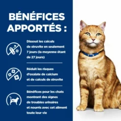 HILL'S Pet Nutrition C/D Urinary Multicare Boîte émincé Pour Chat Poulet -Alimentation boutique feline c d multicare boite emince 3