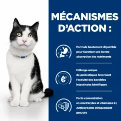 HILL'S Pet Nutrition I/D Digestive Mijotés Pour Chat Et Chaton Poulet & Légumes -Alimentation boutique feline i d digestive care activ biome boite 12