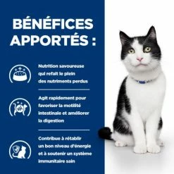 HILL'S Pet Nutrition I/d Digestive Boîte Pour Chat Et Chaton Poulet -Alimentation boutique feline i d digestive care activ biome boite 3