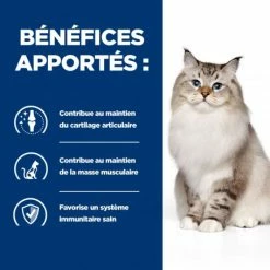 HILL'S Pet Nutrition J/D Mobility Croquettes Pour Chat Au Poulet -Alimentation boutique feline j d 2