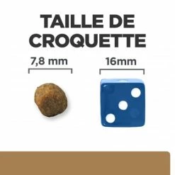 HILL'S Pet Nutrition J/D Mobility Croquettes Pour Chat Au Poulet -Alimentation boutique feline j d 4