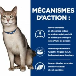 HILL'S Pet Nutrition K/D Kidney Croquettes Pour Chat Au Poulet -Alimentation boutique feline k d 3