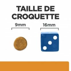 HILL'S Pet Nutrition K/D Kidney Croquettes Pour Chat Au Poulet -Alimentation boutique feline k d 4