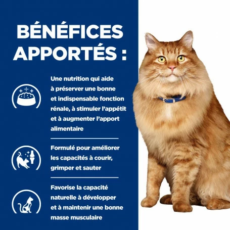 HILL'S Pet Nutrition K/D J/D Kidney+Mobility Croquettes Pour Chat Au Poulet 6 HILL'S Pet Nutrition K/D J/D Kidney+Mobility Croquettes Pour Chat Au Poulet – Image 4