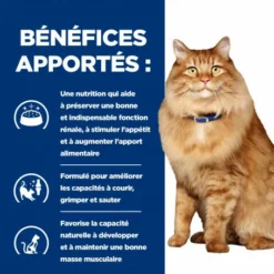 HILL'S Pet Nutrition K/D J/D Kidney+Mobility Sachet Repas Pour Chat Poulet -Alimentation boutique feline k d mobility poulet sachet repas 3