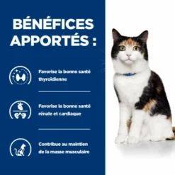 HILL'S Pet Nutrition Y/d Thyroid Boîte Pour Chat -Alimentation boutique feline y d boite 3