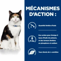 HILL'S Pet Nutrition Y/d Thyroid Boîte Pour Chat -Alimentation boutique feline y d boite 4