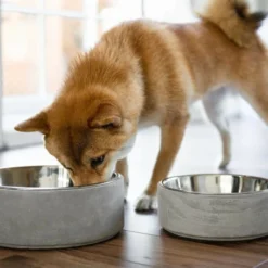 Materiel Gamelle 2 En 1 BeOneBreed Concrete