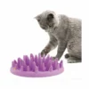 Materiel Gamelle Catch Interactive Cat Feeder Pour Chat 2 Materiel Gamelle Catch Interactive Cat Feeder Pour Chat -Alimentation boutique gamelle catch interactive cat feeder pour chat