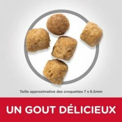 HILL'S Pet Nutrition Feline Adult Light Poulet -Alimentation boutique hills feline adult light poulet 2
