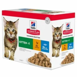 HILL'S Pet Nutrition Kitten Pack Mixte Sachet Repas