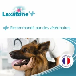 CEVA Laxatone Plus -Alimentation boutique laxatone plus 5