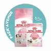 Pack'Avenue Royal Canin CAT KITTEN 10KG Avec Mousse En Sachet Repas -Alimentation boutique pack croquettes chatons Kitten Royal Canin
