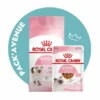 Pack'Avenue Royal Canin CAT KITTEN 10KG Avec Sauce En Sachet Repas -Alimentation boutique pack croquettes croissance chatons Royal Canin