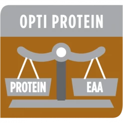 PURINA PRO PLAN Ppvd Feline NF Salmon Sachet Repas -Alimentation boutique ppvd feline nf salmon sachet repas 6