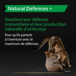 PURINA PRO PLAN Pro Plan Natural Defences + Chat -Alimentation boutique pro plan natural defences chat 7