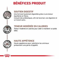 ROYAL CANIN Cat Gastro Intestinal Moderate Calorie Sachet Repas -Alimentation boutique royal canin cat gastro intestinal moderate calorie sachet repas 2