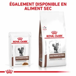 ROYAL CANIN Cat Gastro Intestinal Moderate Calorie Sachet Repas -Alimentation boutique royal canin cat gastro intestinal moderate calorie sachet repas 6