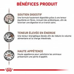 ROYAL CANIN Cat Gastro Intestinal Sachet Repas -Alimentation boutique royal canin cat gastro intestinal sachet repas 2