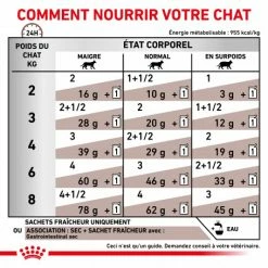 ROYAL CANIN Cat Gastro Intestinal Sachet Repas -Alimentation boutique royal canin cat gastro intestinal sachet repas 4