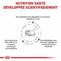 ROYAL CANIN Cat Hepatic -Alimentation boutique royal canin cat hepatic 2